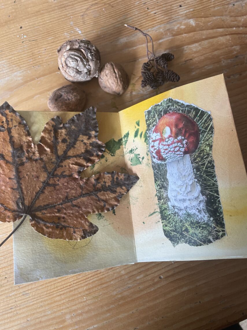 Herbstbuch14