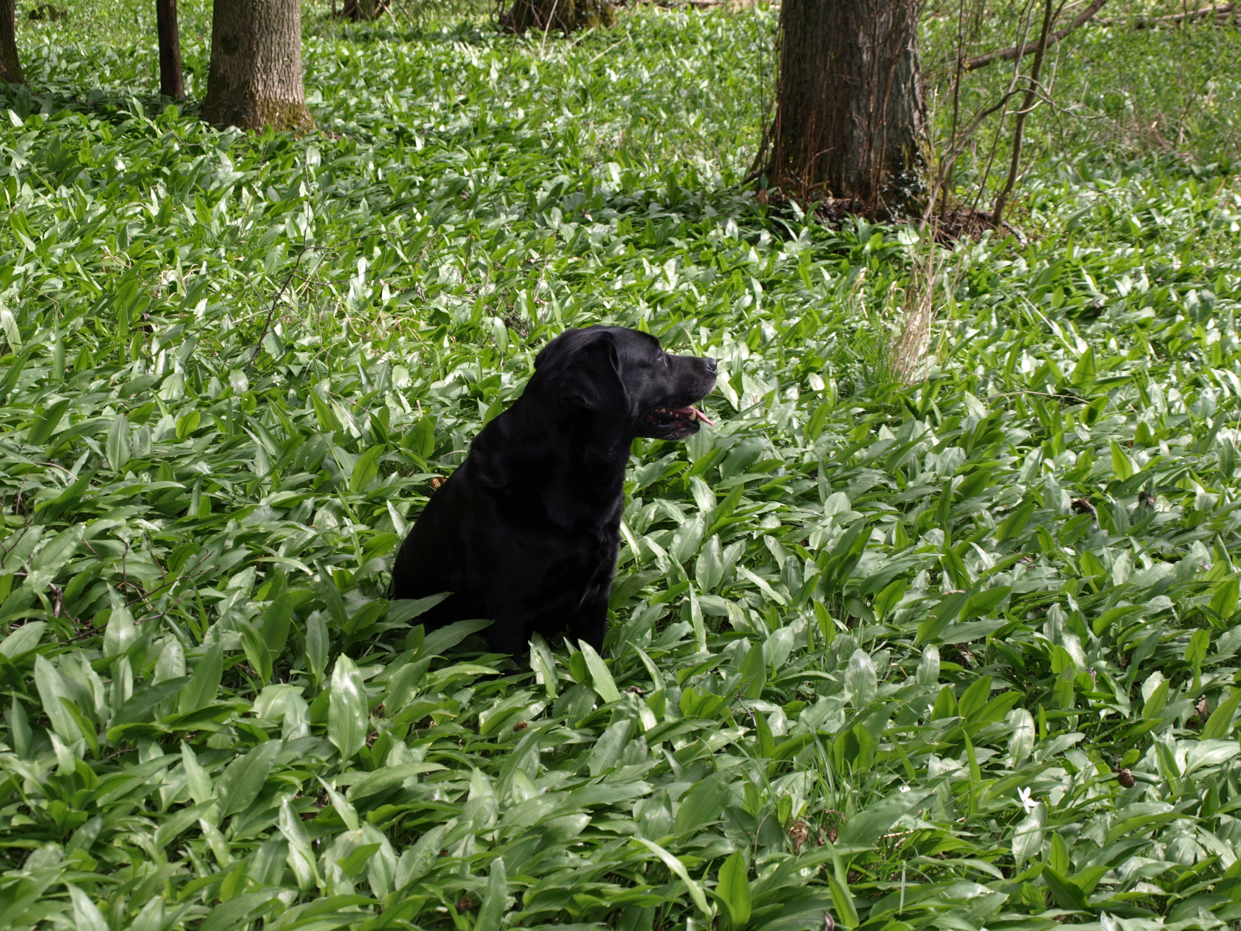 Levin-11.Geburtstag-025-scaled-1