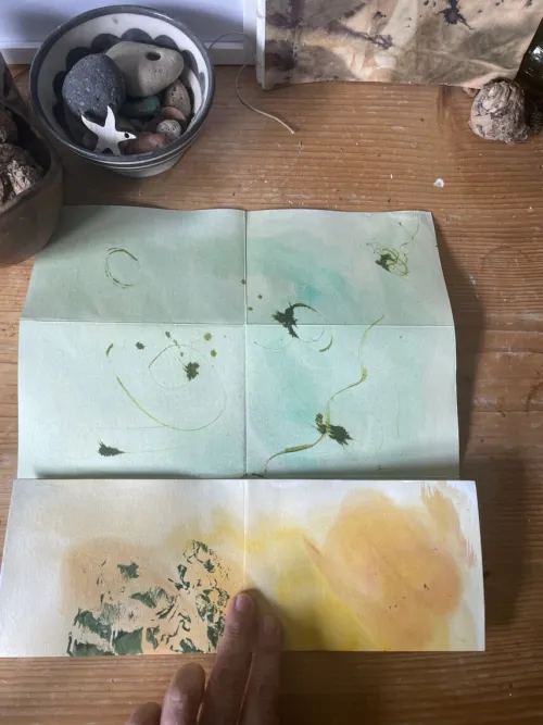 Herbstbuch3