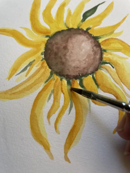 sonnenblume9